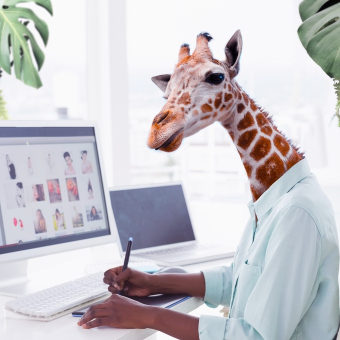 Squad#Experience - Amaïa s'est autoformée pour devenir DevOps cover